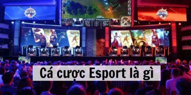 gioi-thieu-ve-khai-niem-ca-cuoc-esport