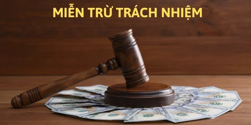 Miễn trừ trách nhiệm cho bên thứ ba