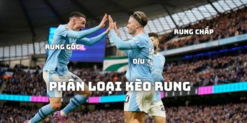 Phân loại kèo rung