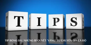 Tip bóng đá ảnh đại diện